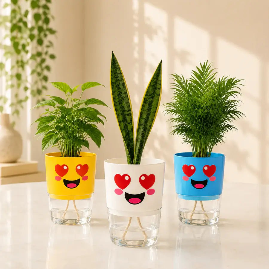 3 Cute Self-Watering Pots for Rs. 1,799