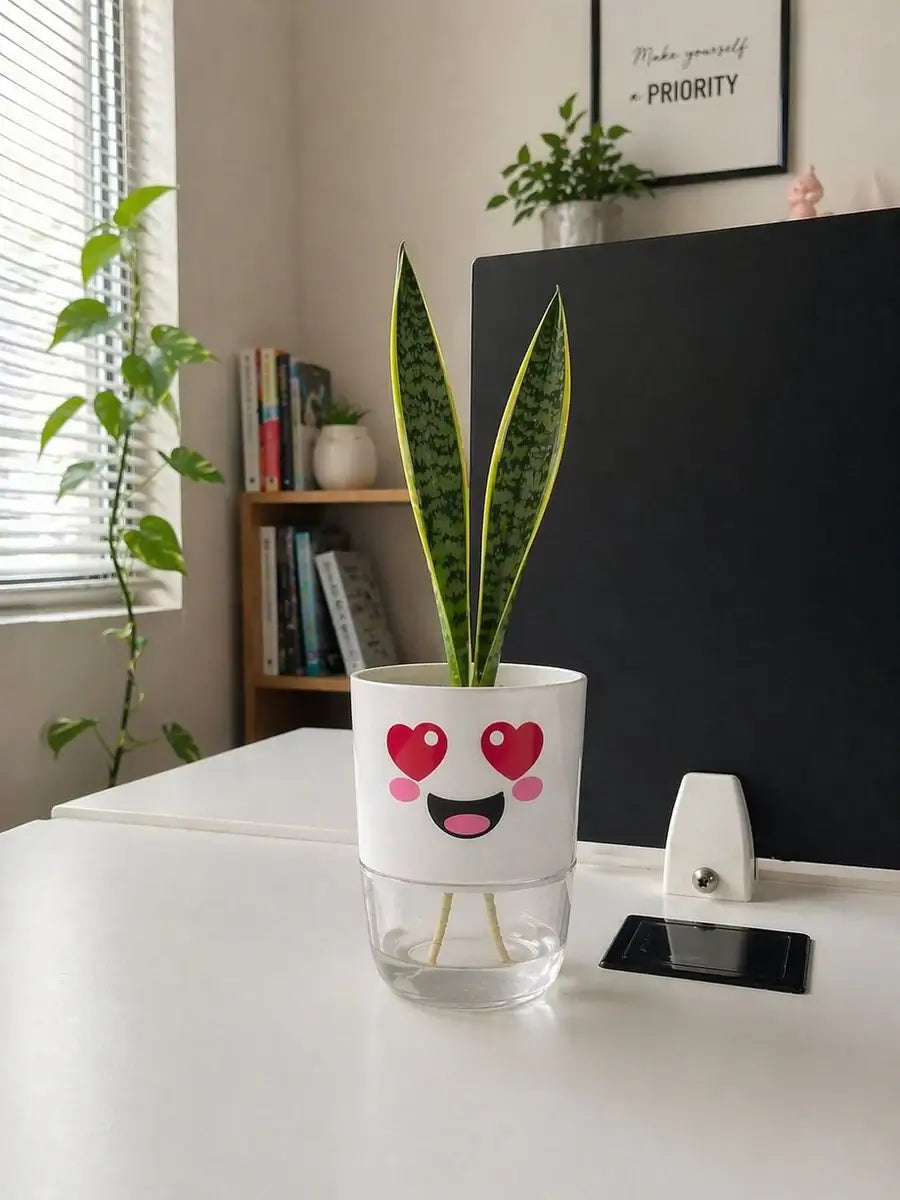 3 Cute Self-Watering Pots for Rs. 1,799