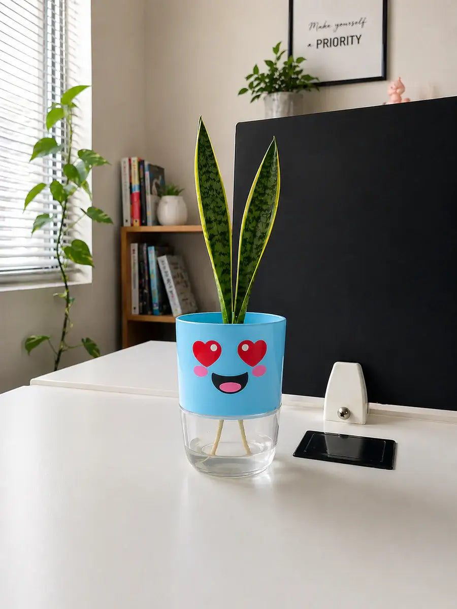 3 Cute Self-Watering Pots for Rs. 1,799