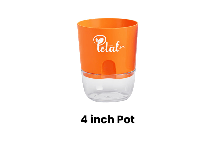 Set of 4 Self Watering Pots (Orange, Blue, Yellow, Red)