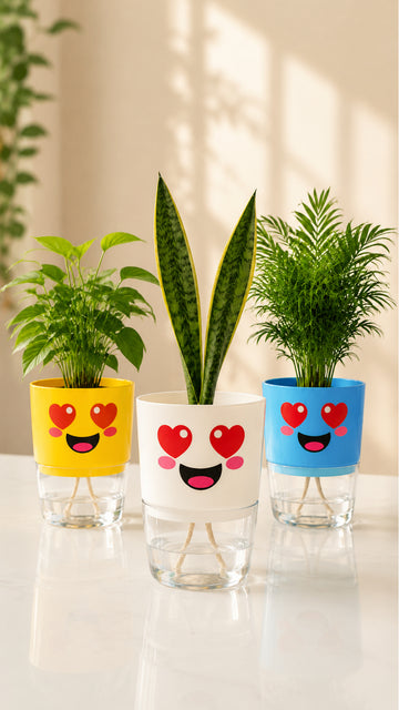Petal self-watering plant pot available colors