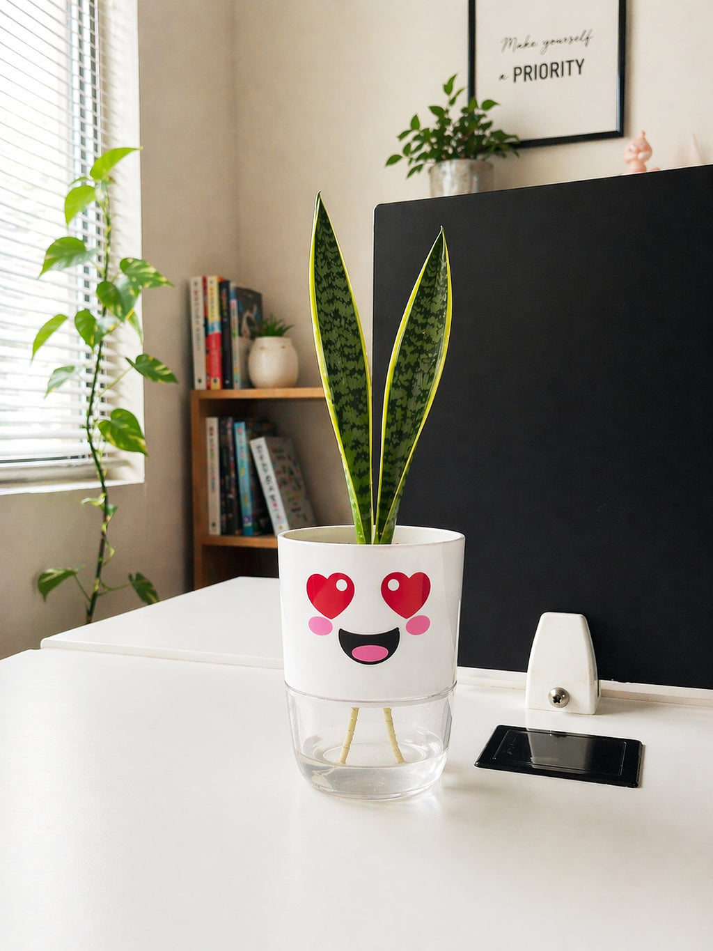 Set of 3 Cute & Happy Self-Watering Pots (without plants)