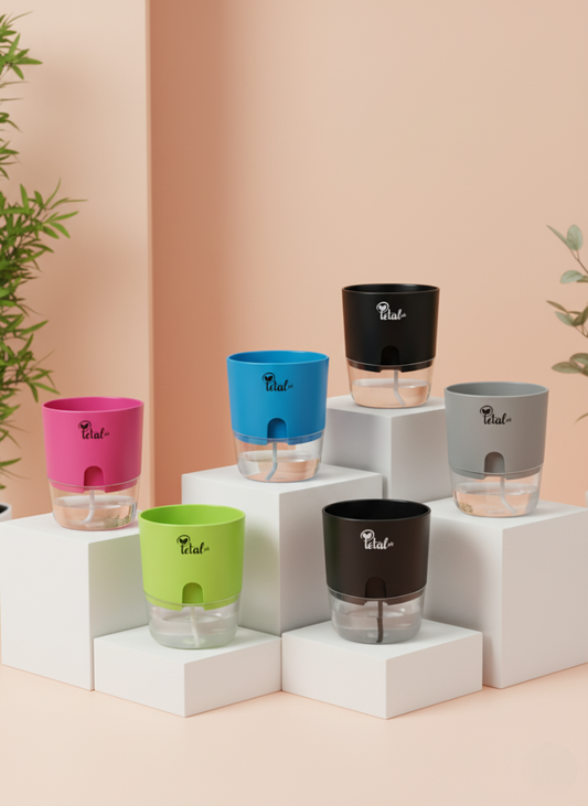 Set of 5 self watering pots (without plant) in green pink black grey orange color