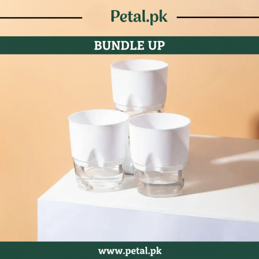 SET OF 3 SELF WATERING POTS WITH OUT PLANT in black Green orange color