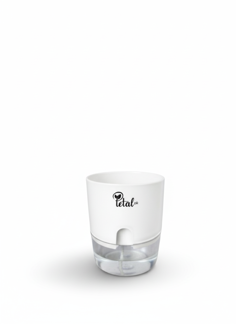 Set of 6 self watering pots (without plant) in (green, pink, black, grey, orange, blue)