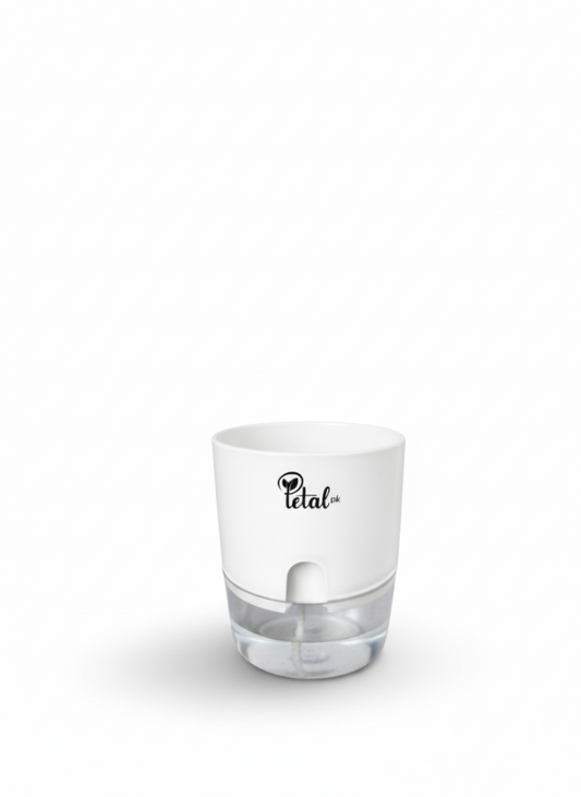 SET OF 3 SELF WATERING POTS WITH OUT PLANT in black Green orange color