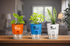 Set Of 3 Plants with Self Watering Pots - Money Plant, Green Bloodleaf Plant & Snake Plant